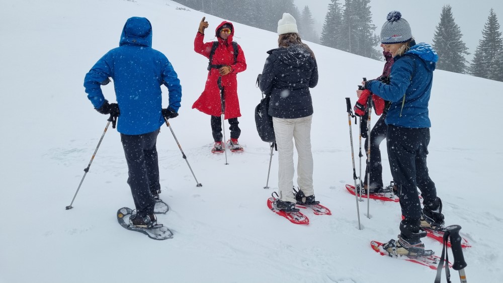 Sneeuwschoenwandelen in Portes du Soleil.